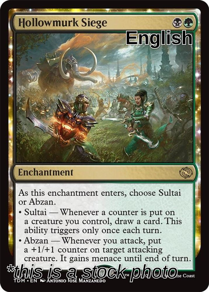 Hollowmurk Siege