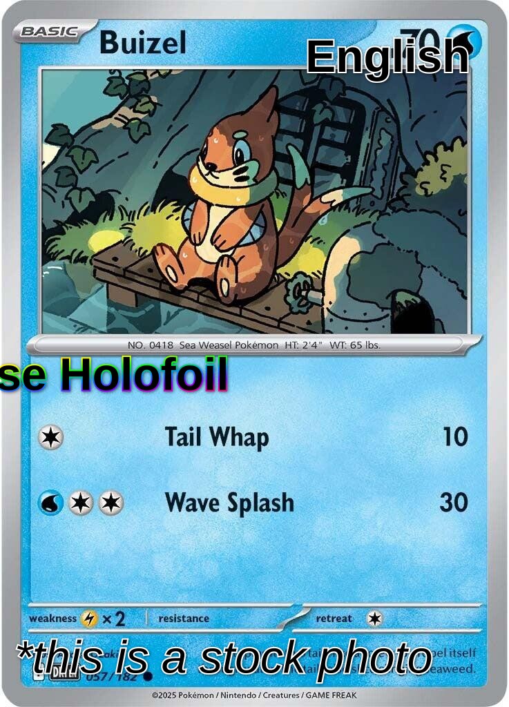 Buizel