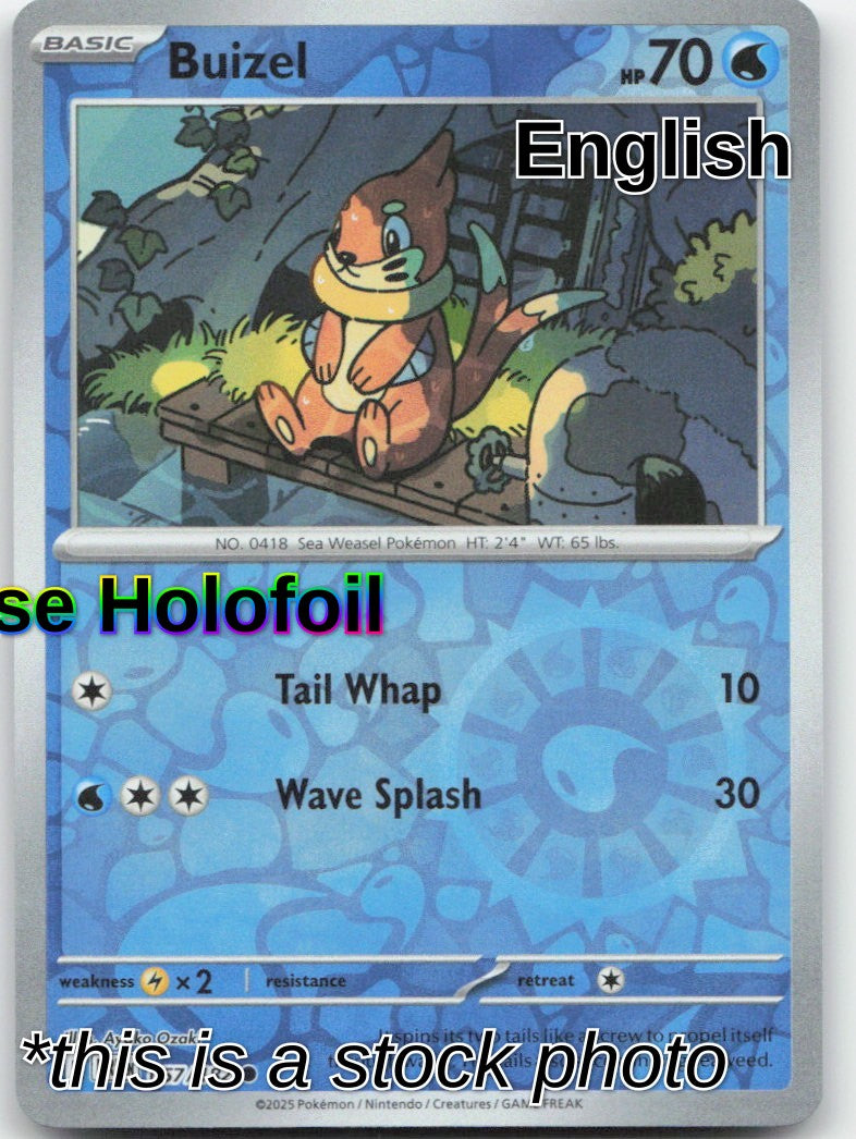 Buizel
