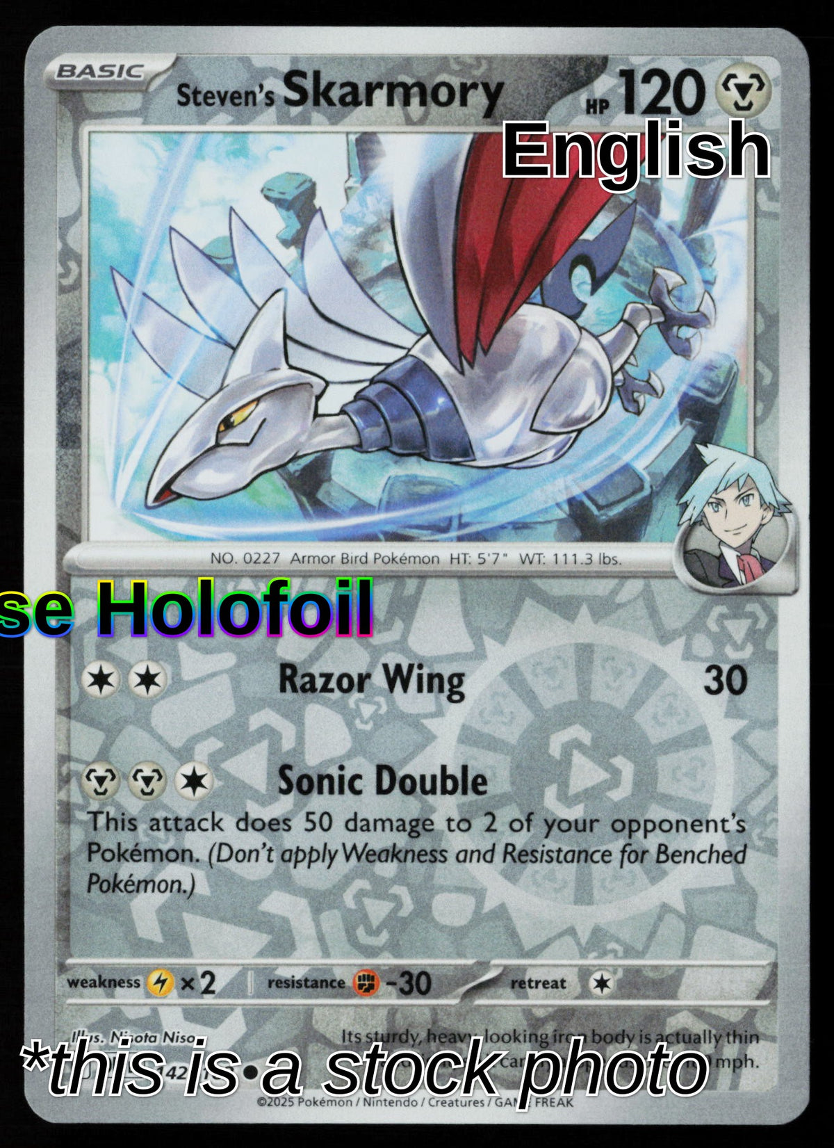Steven's Skarmory
