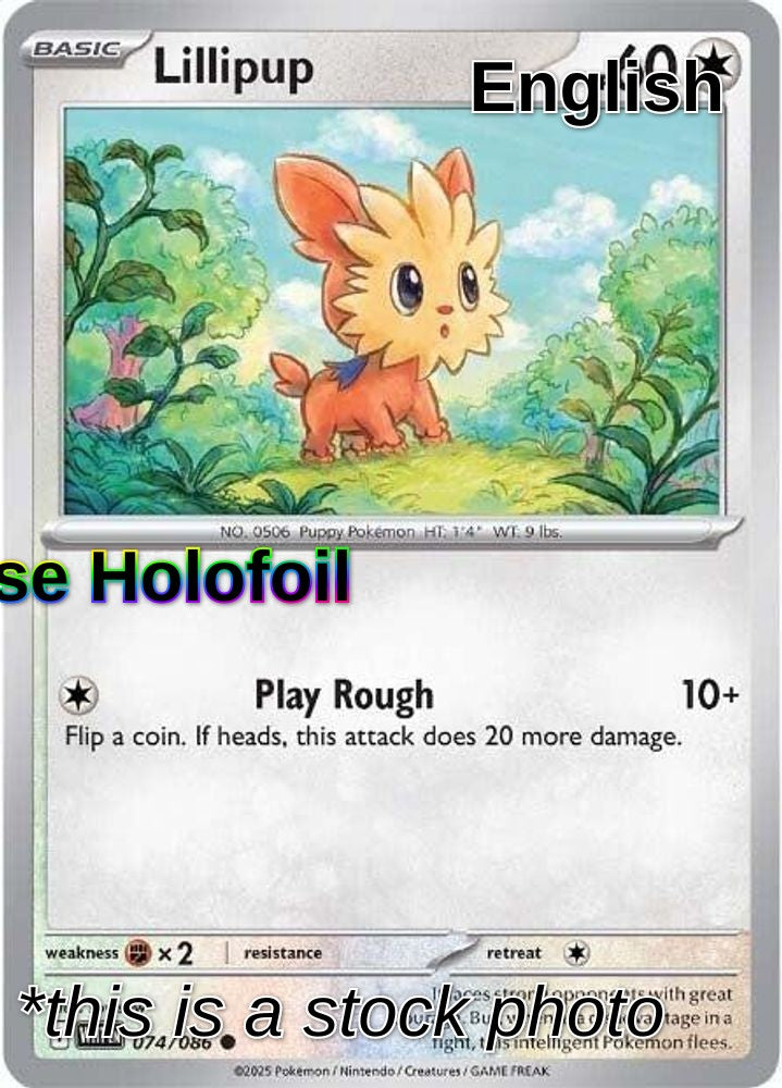 Lillipup