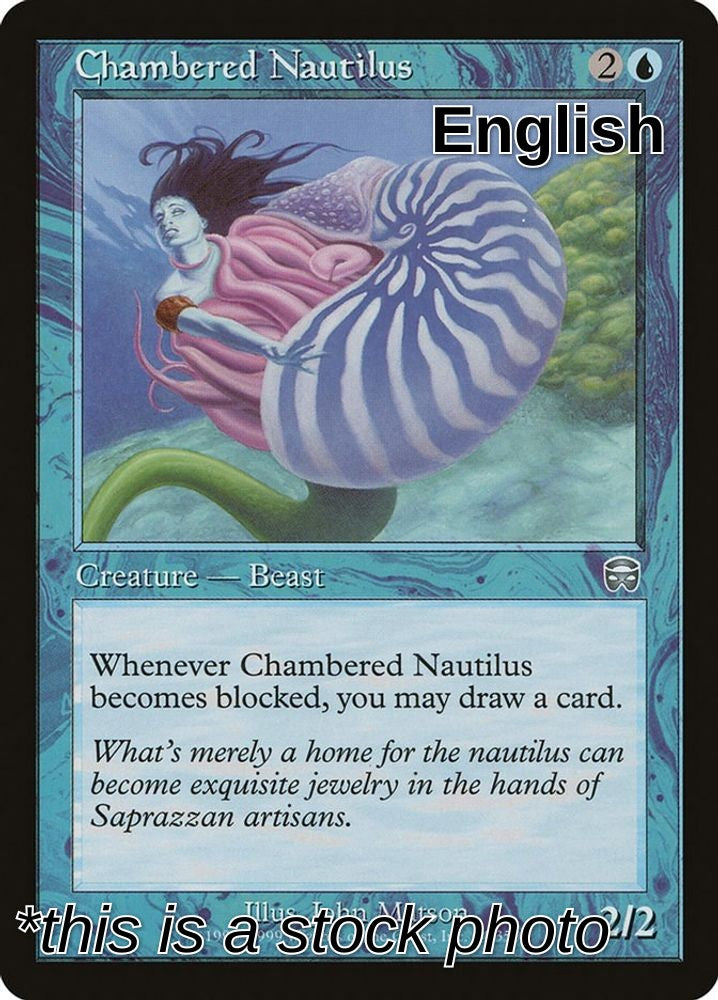 Chambered Nautilus
