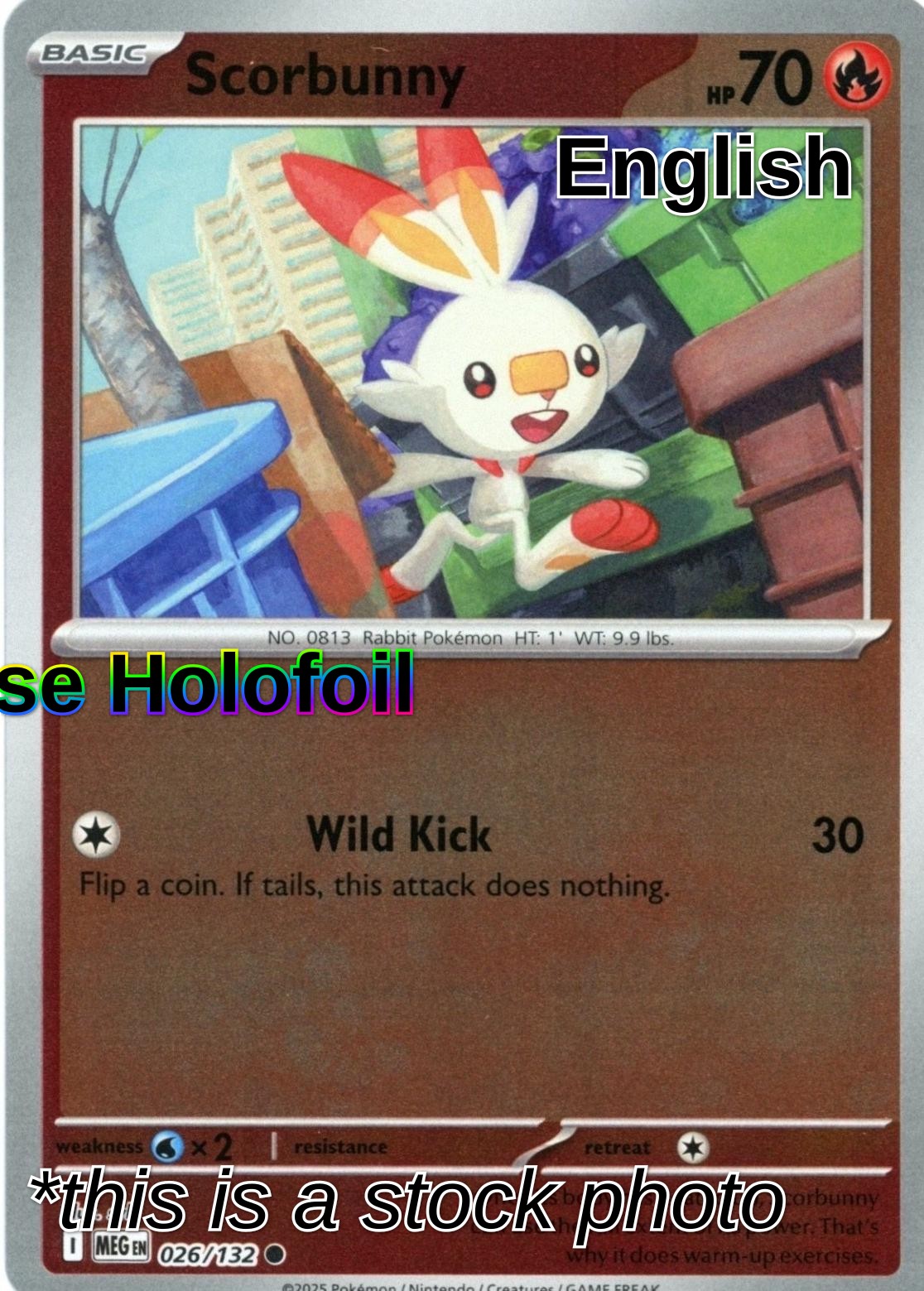 Scorbunny