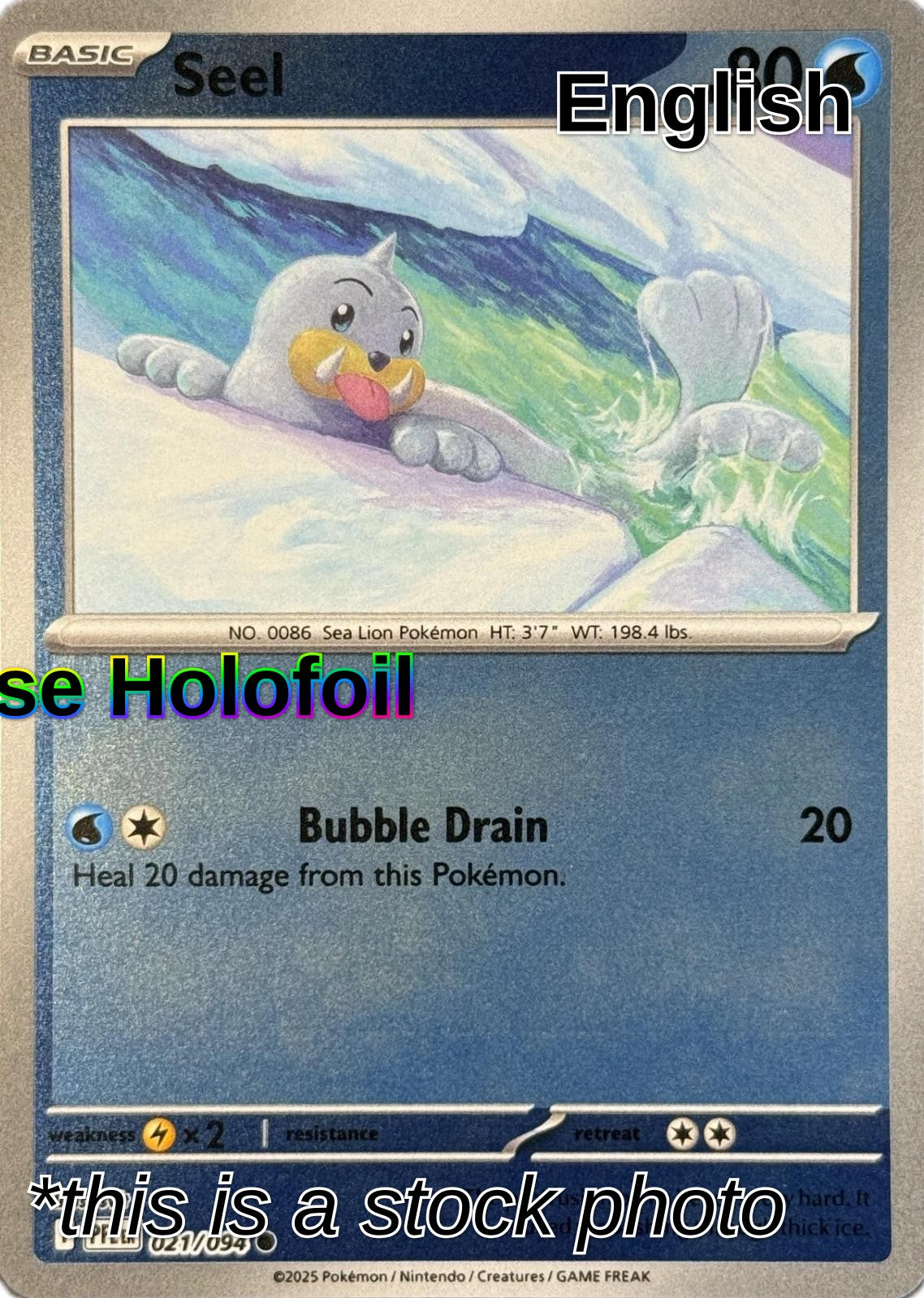 Seel