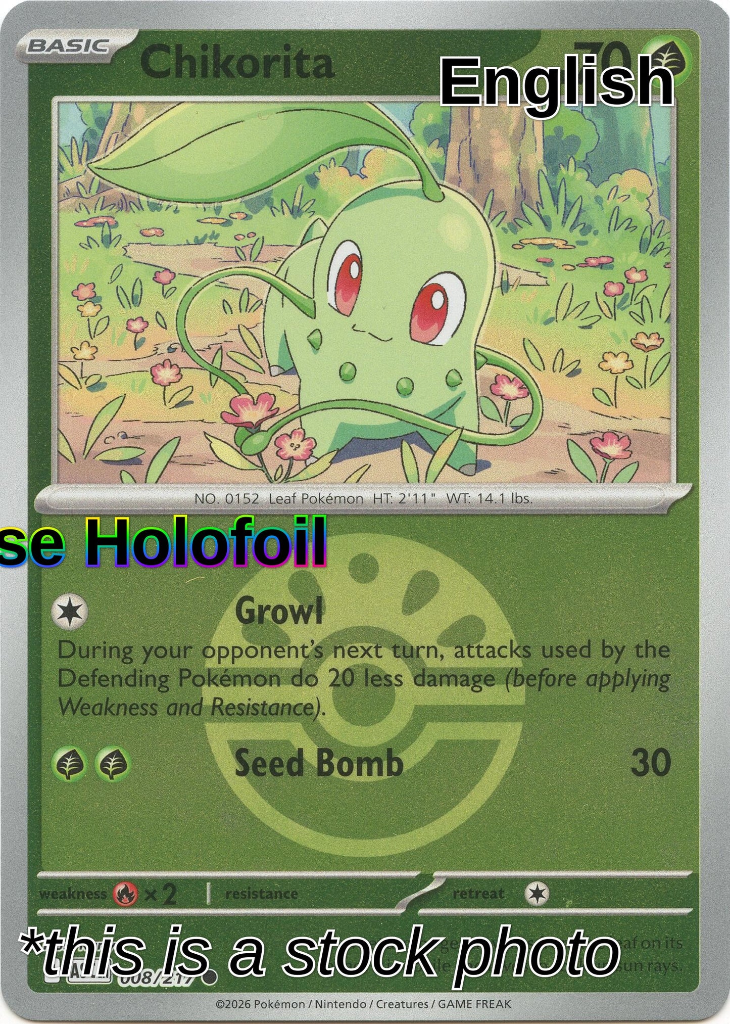 Chikorita (Friend Ball)