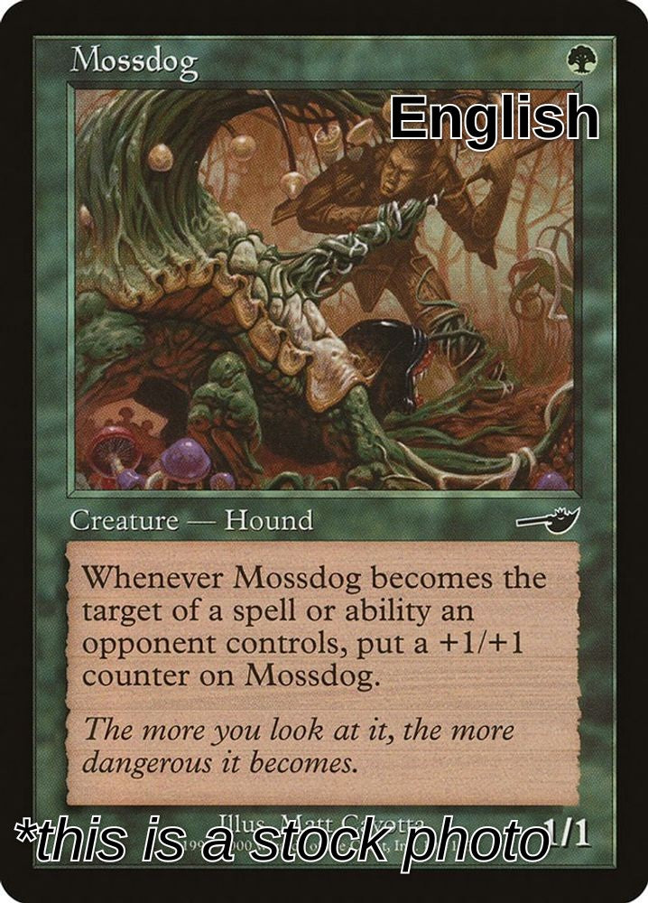 Mossdog