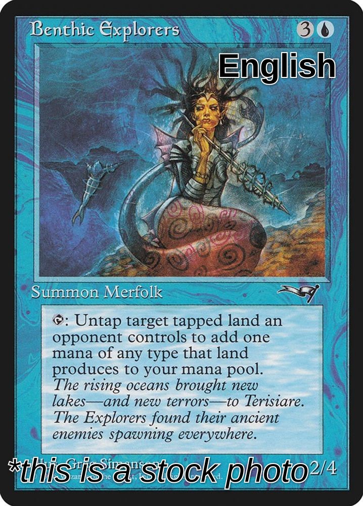 Benthic Explorers (On the Rocks)