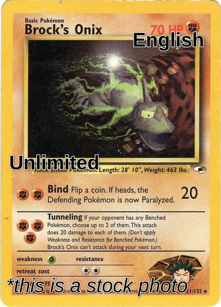 Brock's Onix (21)