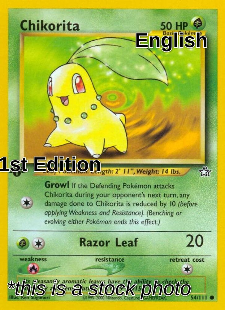 Chikorita (54)