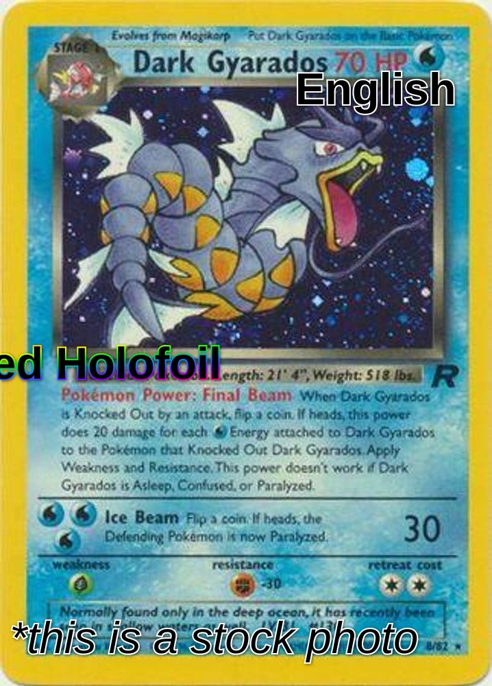 Dark Gyarados (8)