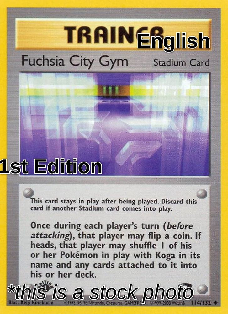 Fuchsia City Gym