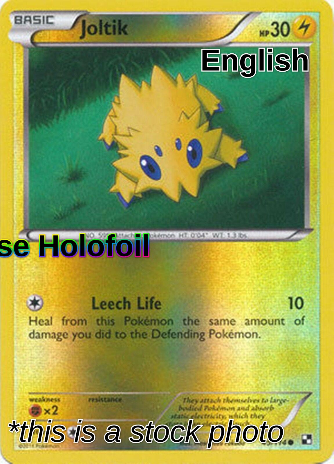 Joltik (45)