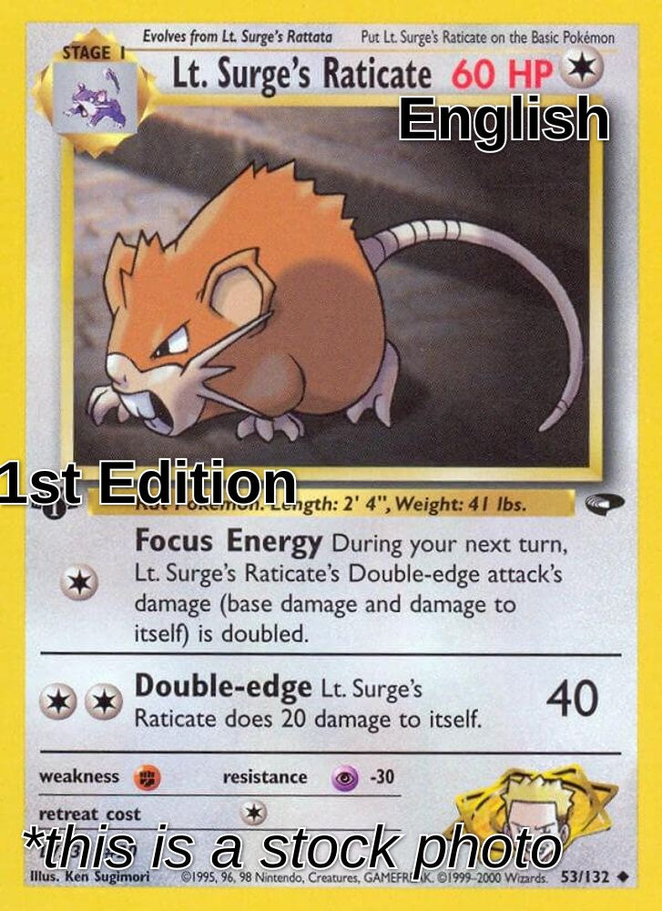 Lt. Surge's Raticate