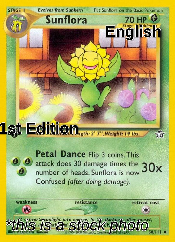 Sunflora