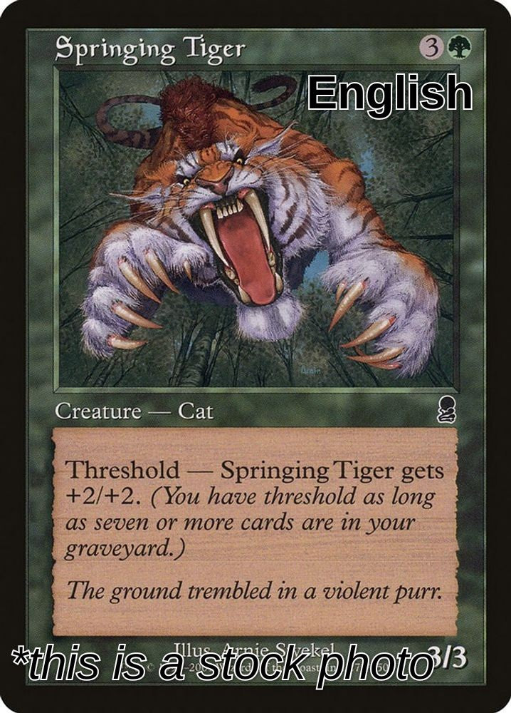 Springing Tiger