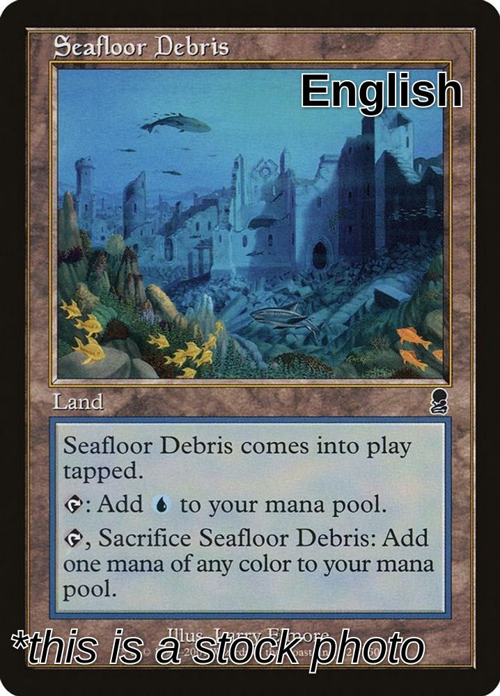 Seafloor Debris
