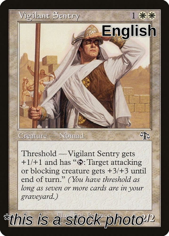 Vigilant Sentry