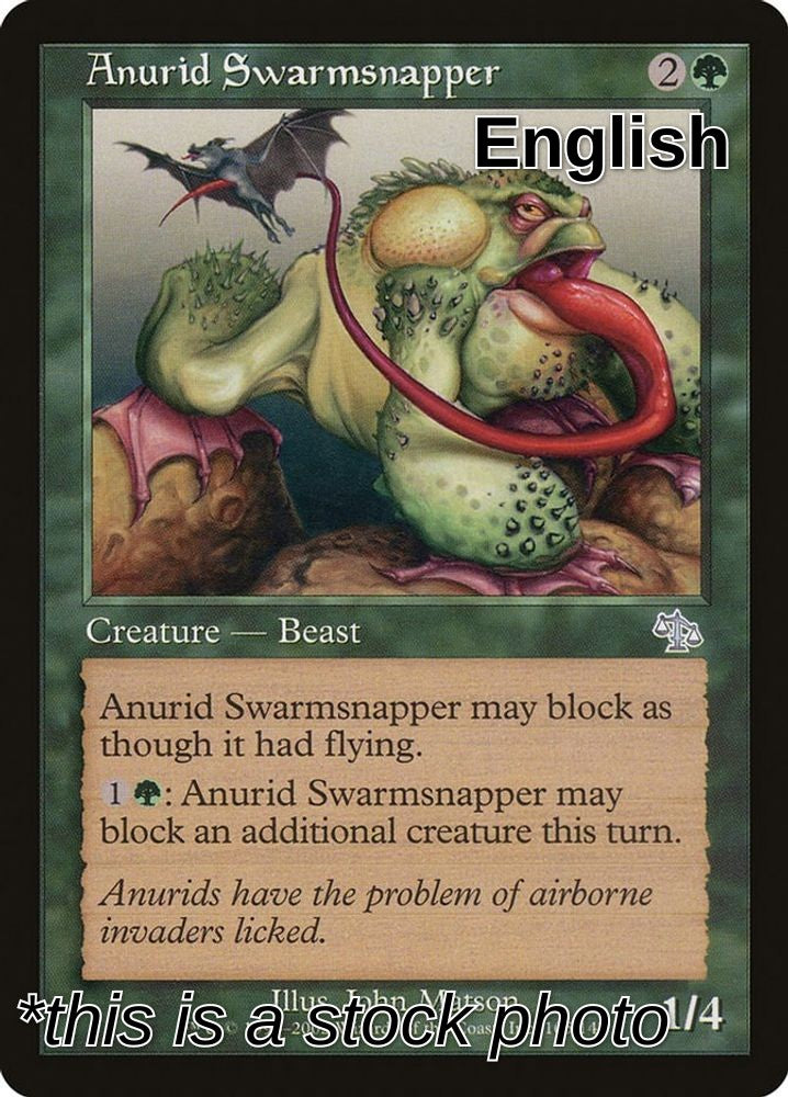 Anurid Swarmsnapper