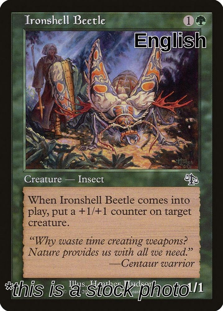 Ironshell Beetle