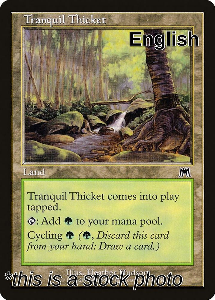 Tranquil Thicket