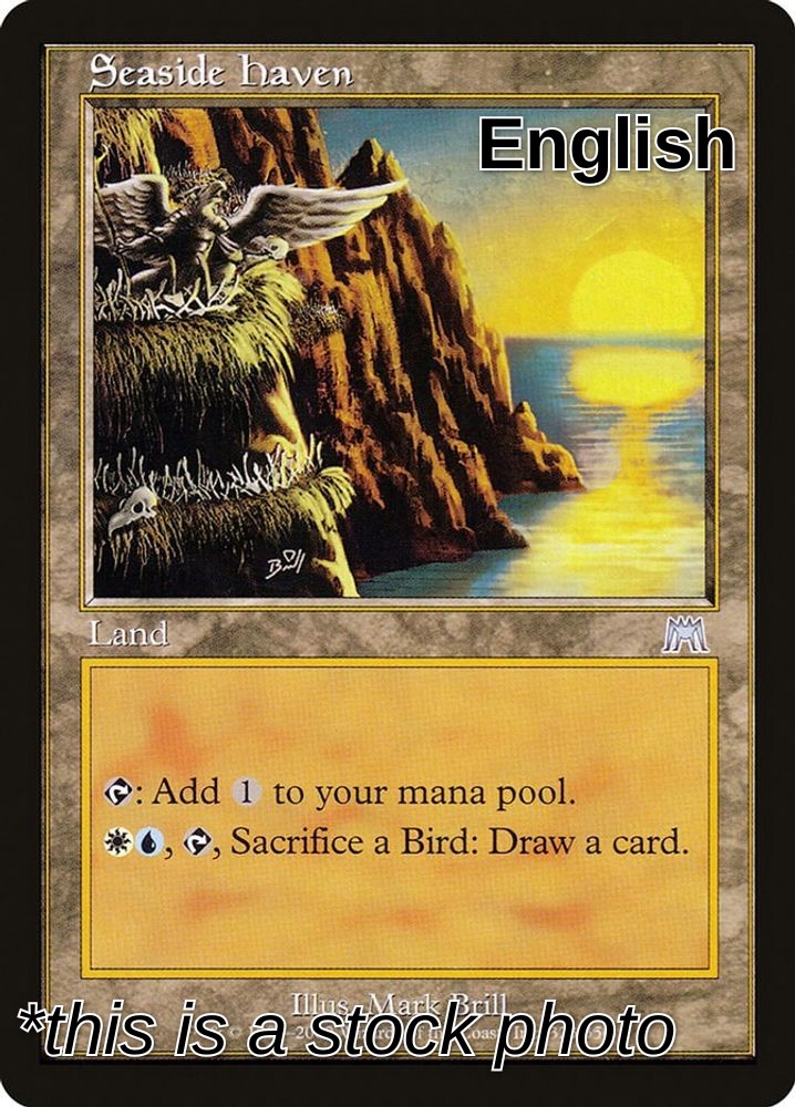 Seaside Haven
