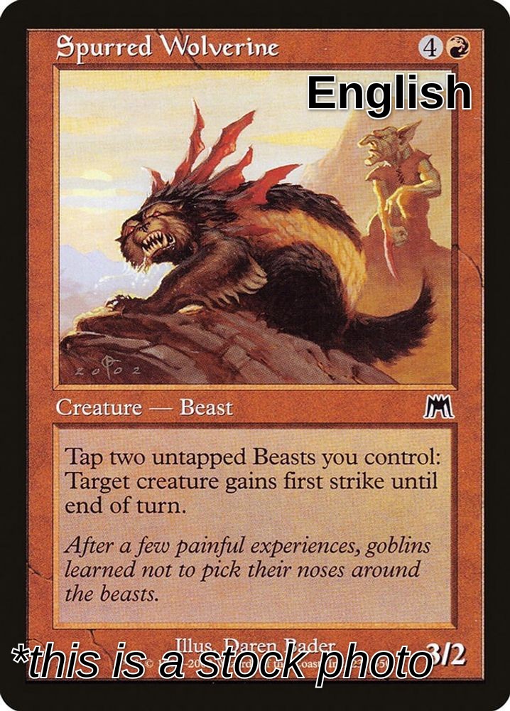 Spurred Wolverine