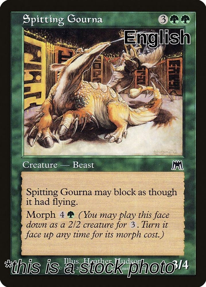 Spitting Gourna