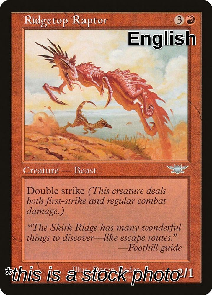Ridgetop Raptor