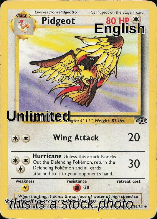 Pidgeot (24)