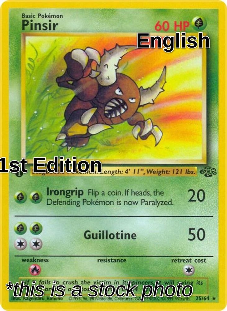 Pinsir (25)