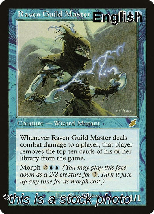 Raven Guild Master
