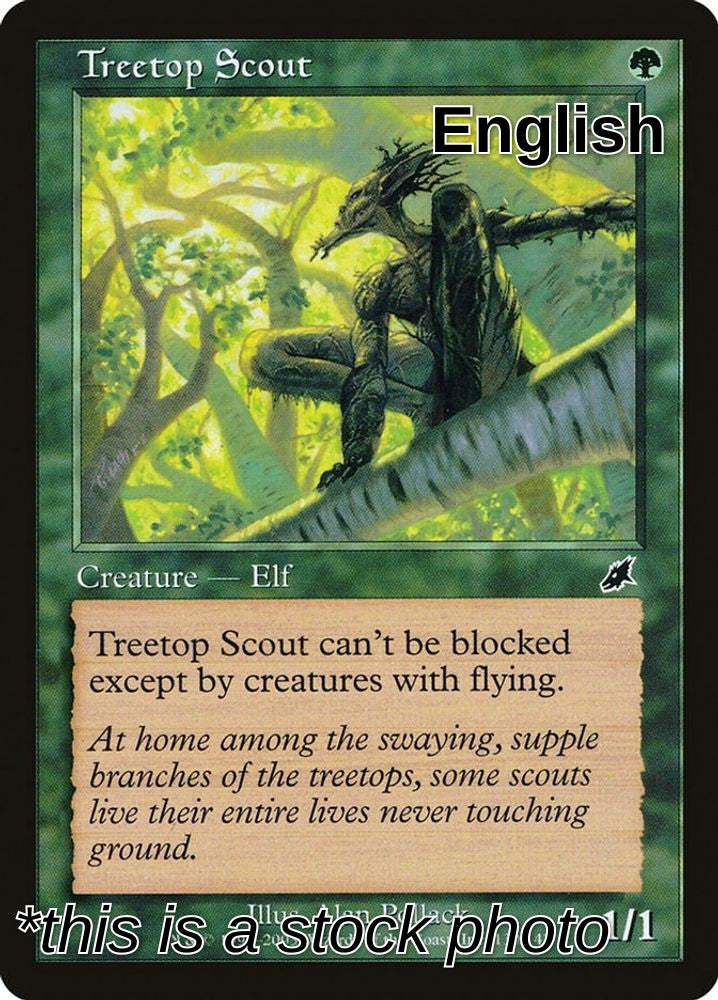 Treetop Scout