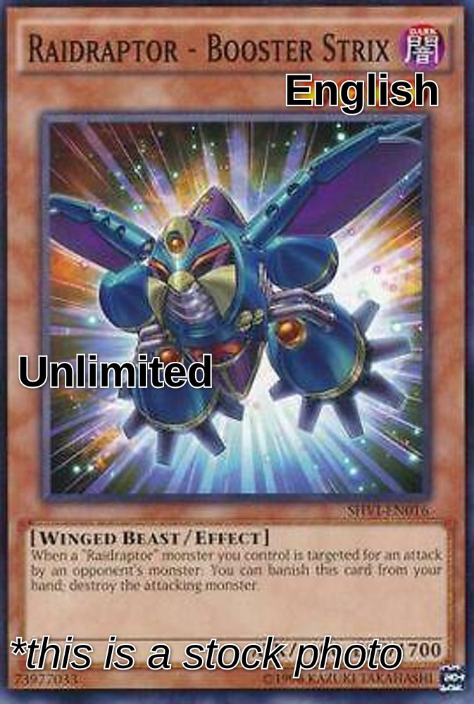 Raidraptor - Booster Strix