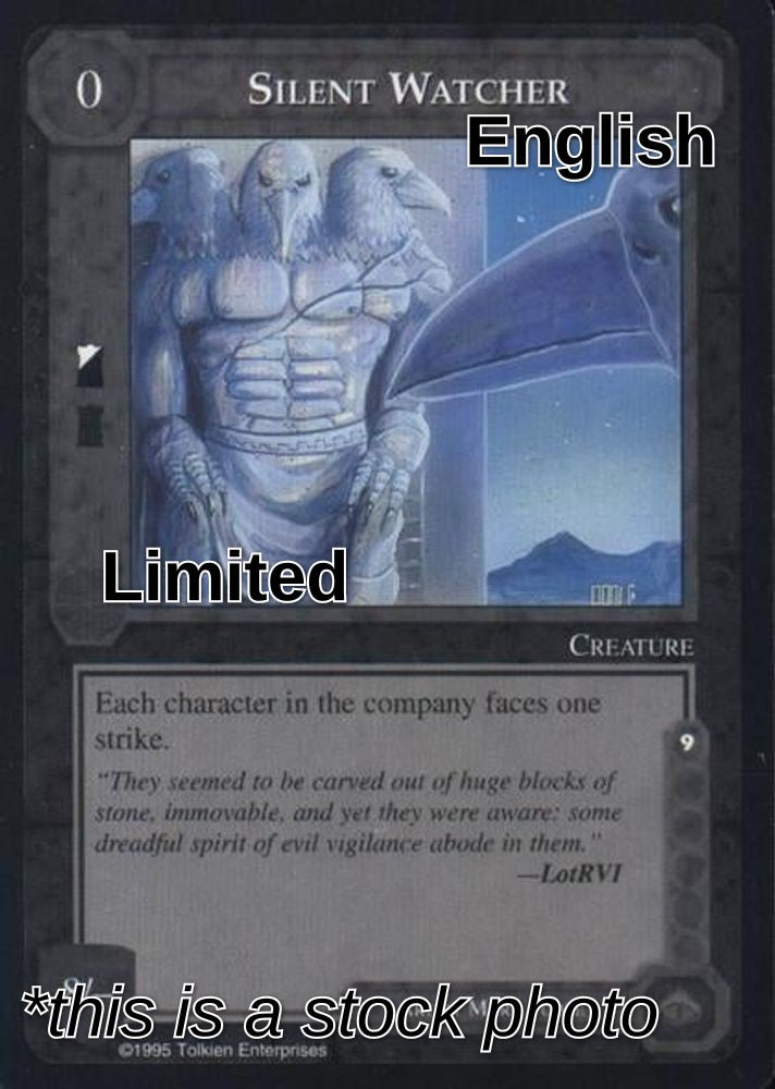 Silent Watcher