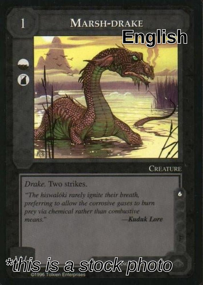 Marsh-drake