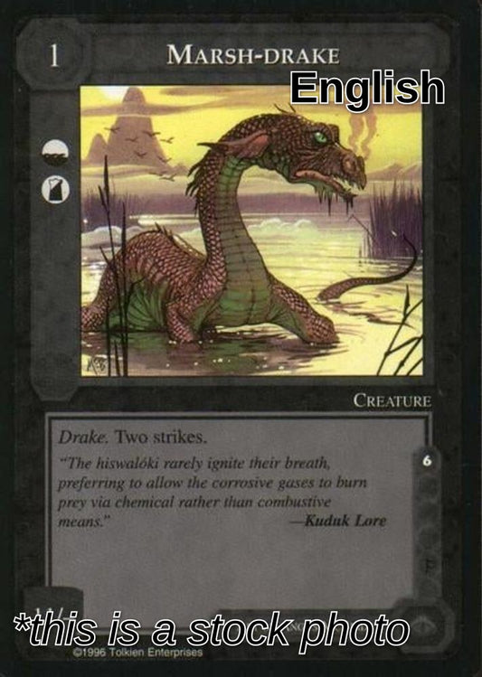 Marsh-drake