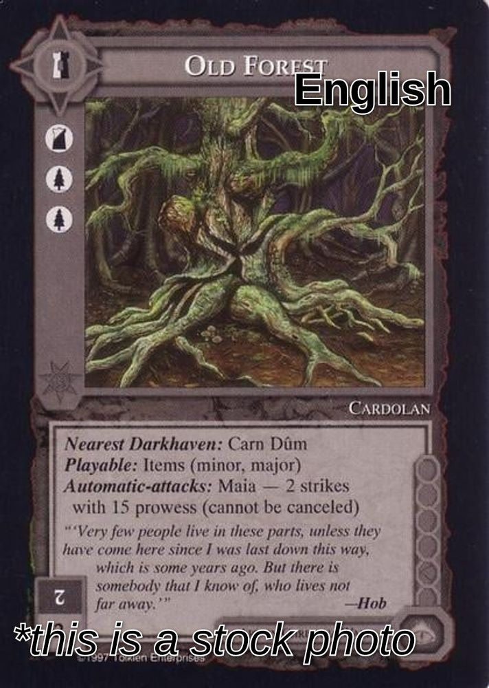 Old Forest