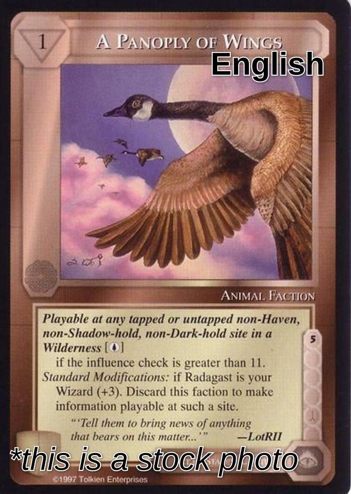 A Panoply of Wings