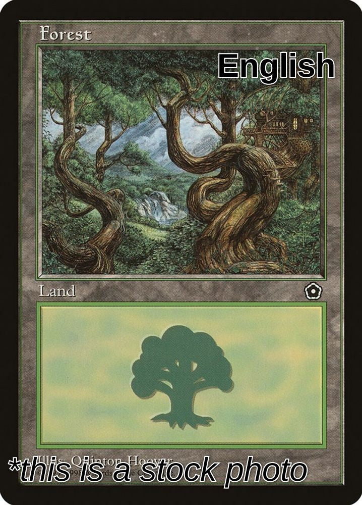 Forest (151)
