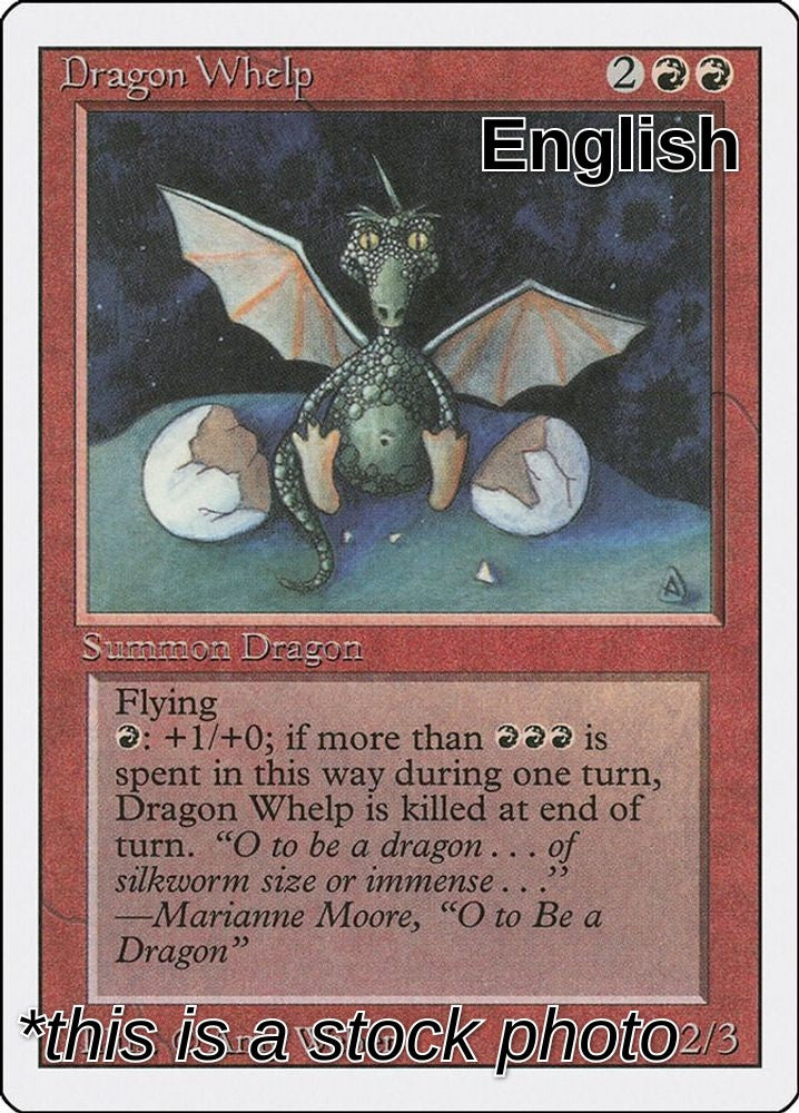 Dragon Whelp