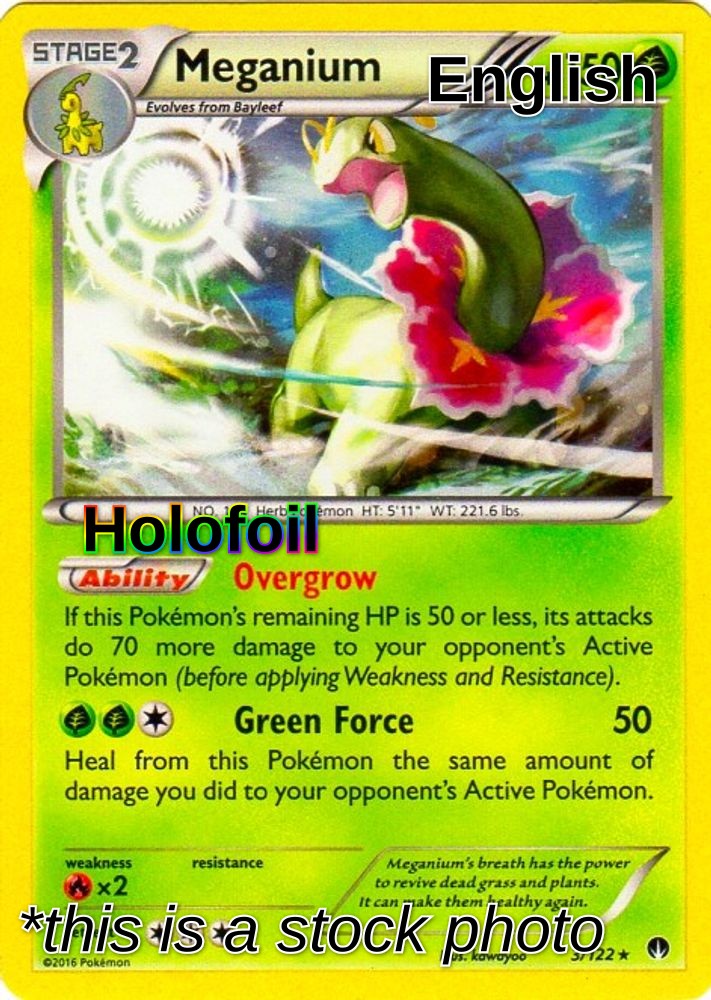 Meganium - 3/122 (Cosmos Holo)