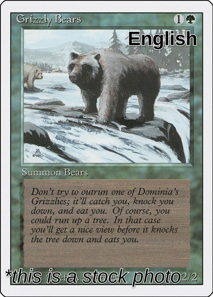 Grizzly Bears