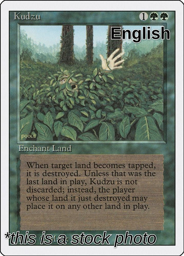 Kudzu