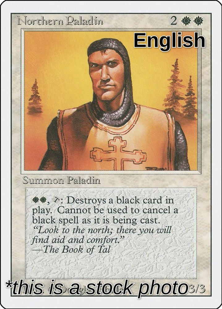 Northern Paladin