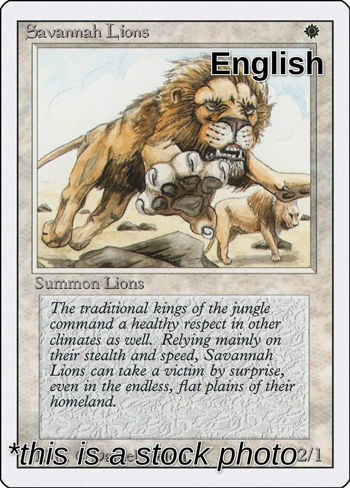 Savannah Lions