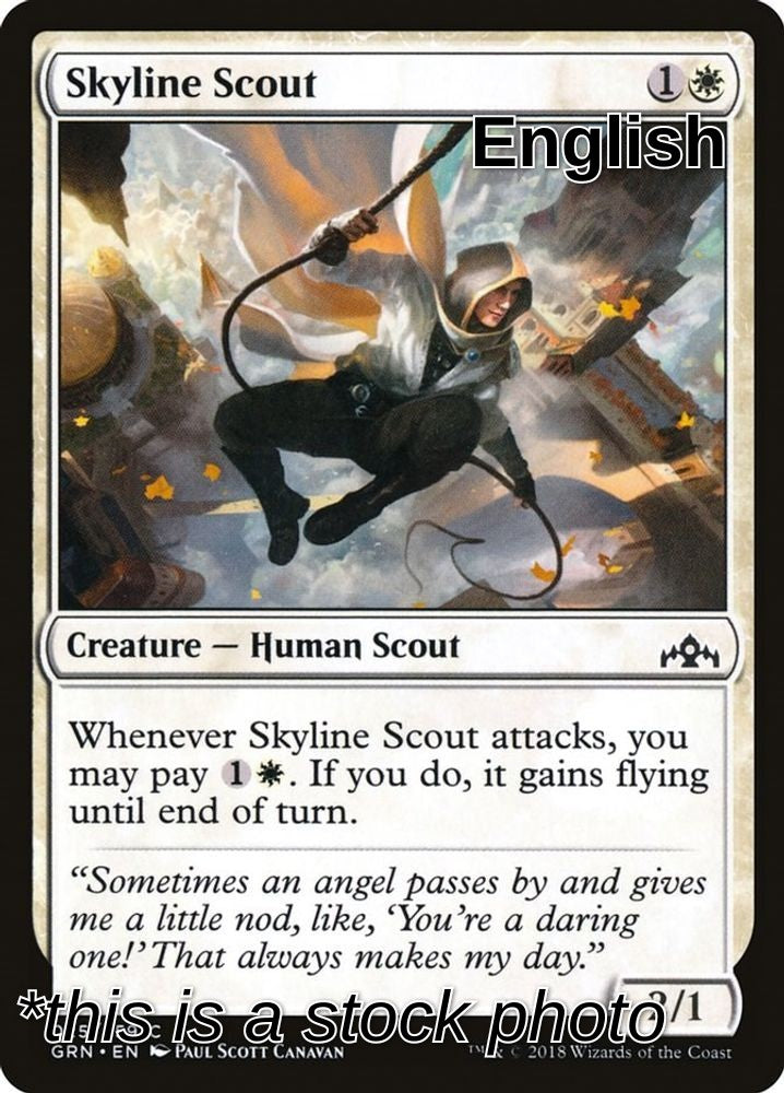 Skyline Scout