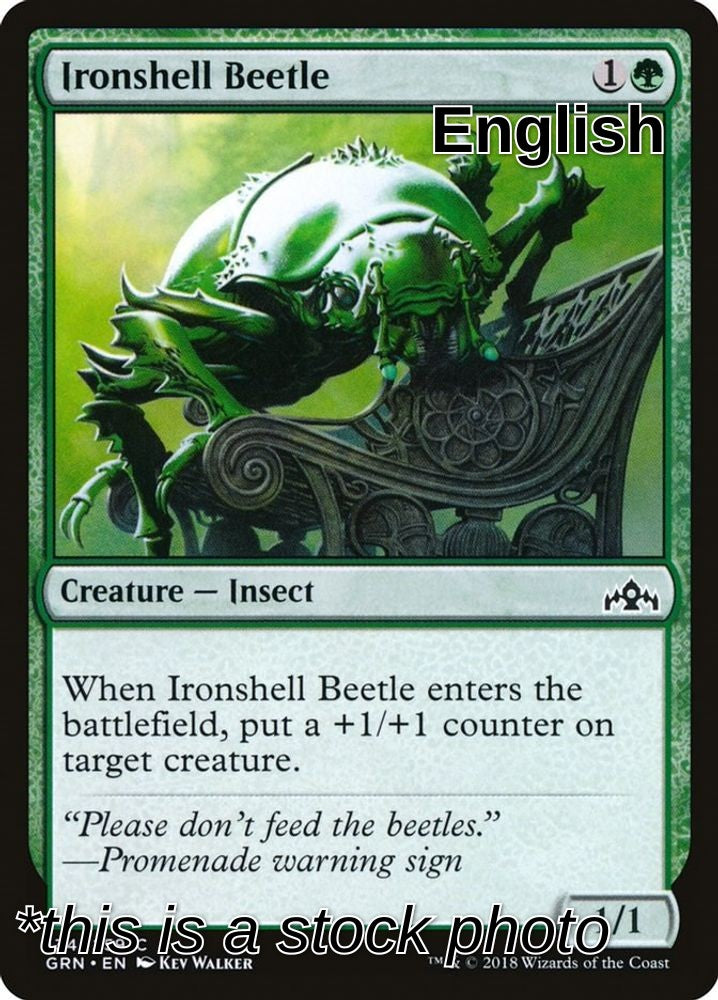 Ironshell Beetle