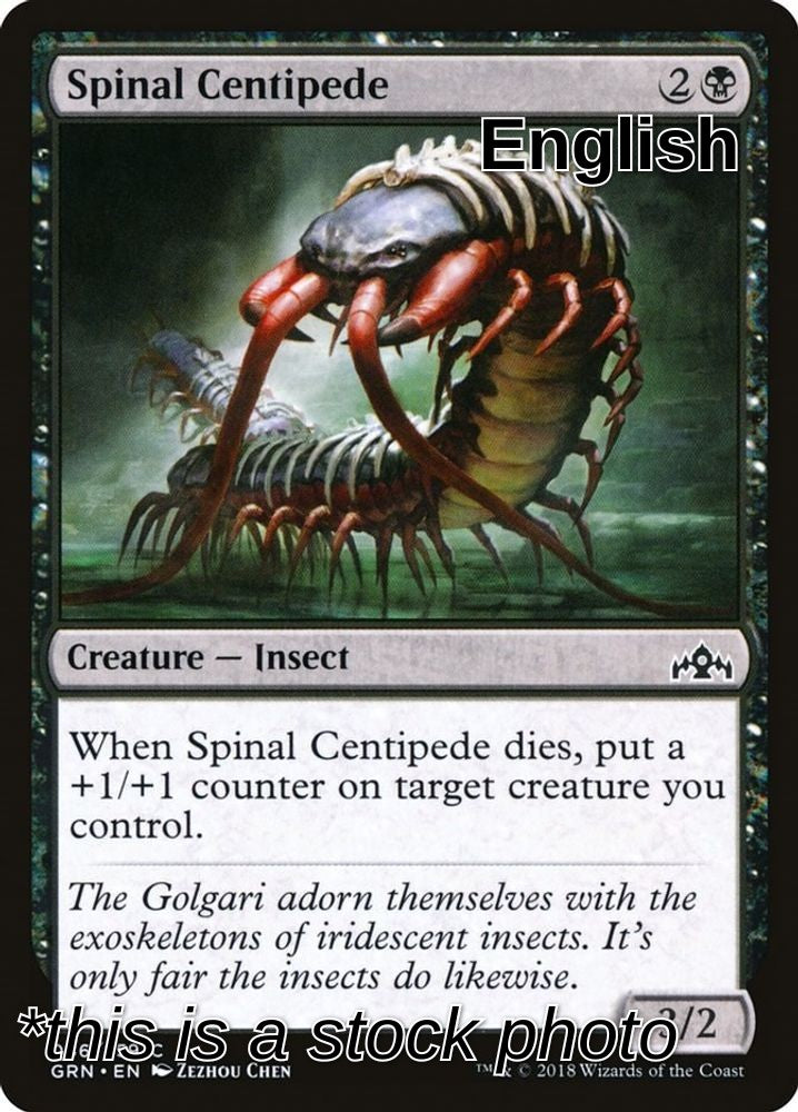 Spinal Centipede