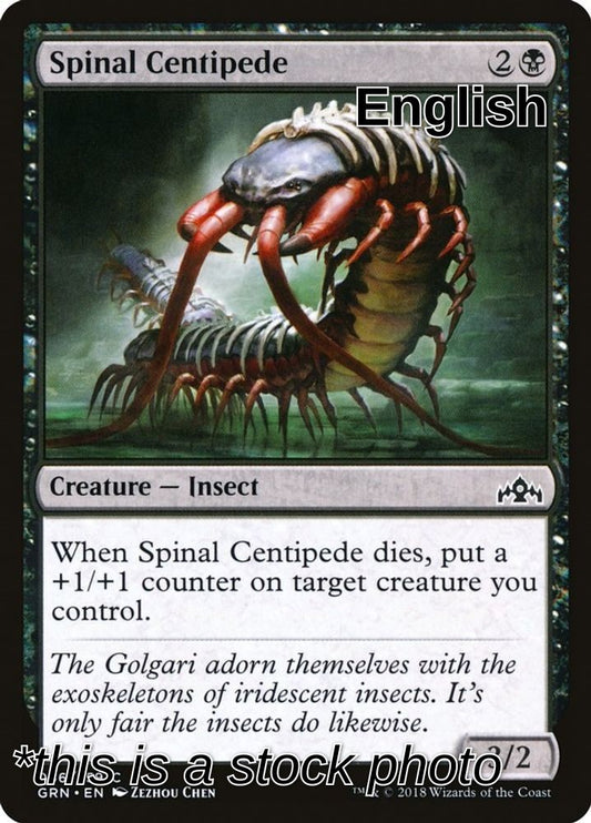 Spinal Centipede