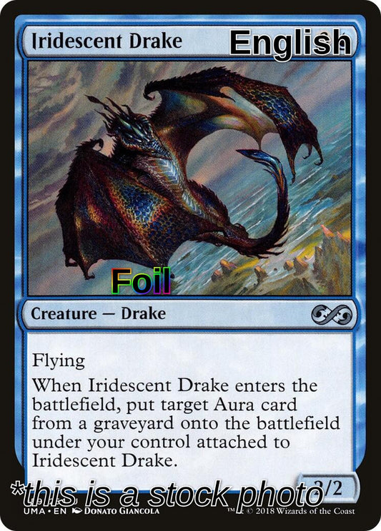 Iridescent Drake